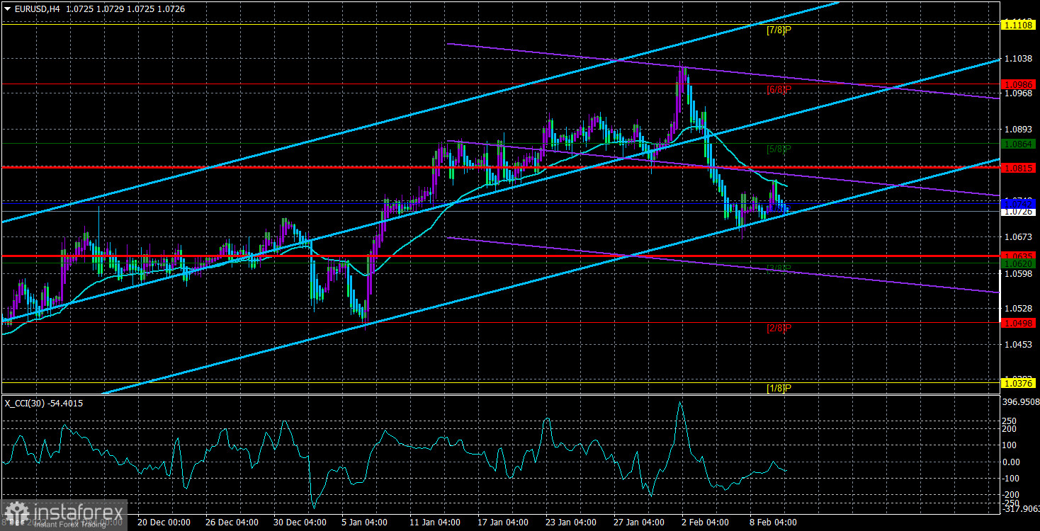 Обзор пары EUR/USD. 10 февраля. Два ключевых фактора для доллара