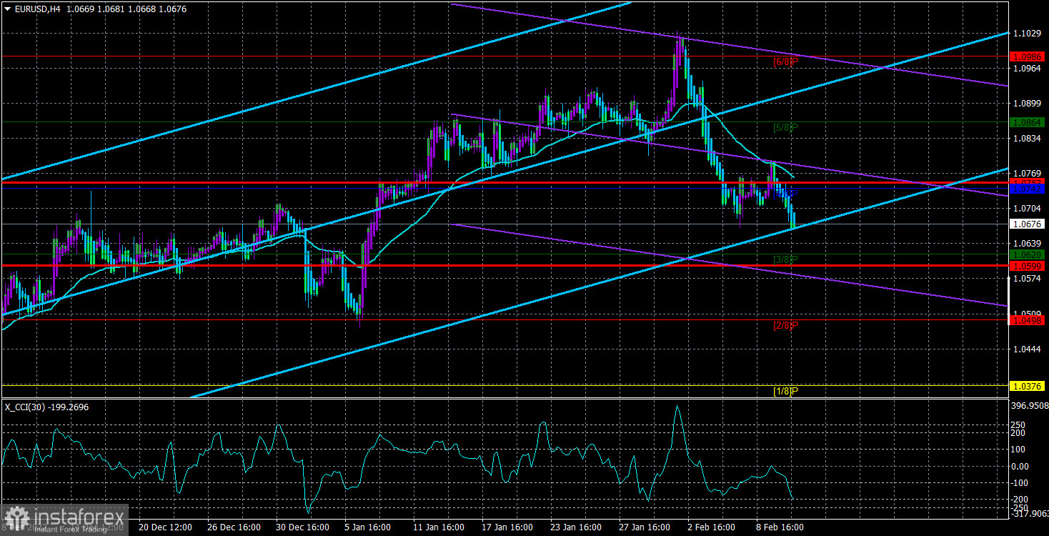 Обзор пары EUR/USD. 13 февраля. Европейская экономика балансирует на грани рецессии