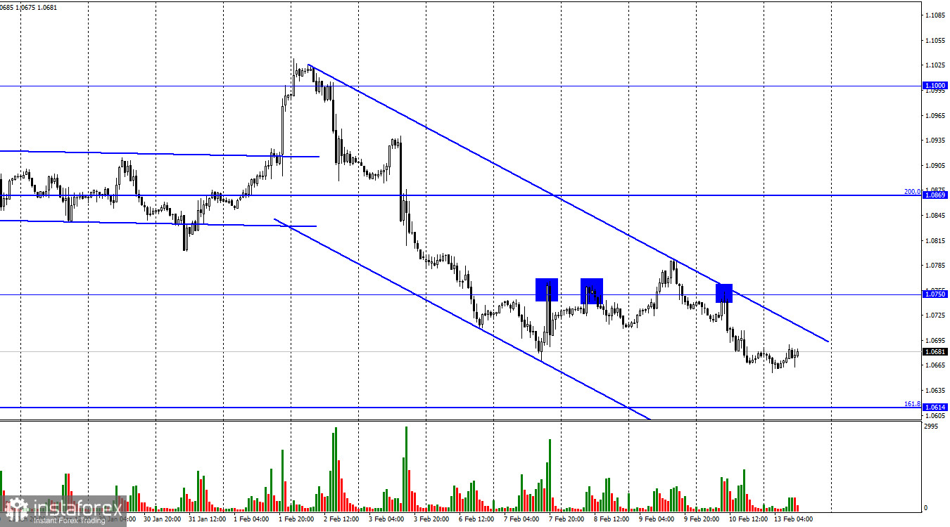 EUR/USD. 13 февраля. Медведи готовятся к новому рывку