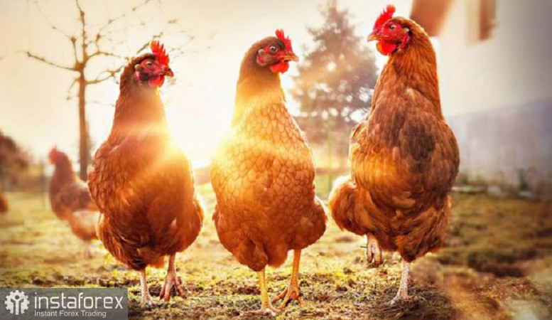 Птичий грипп угрожает фермерам и производителям продуктов питания