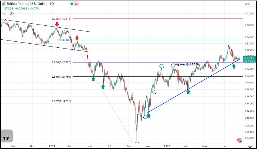 analytics64de6311bee01.jpg