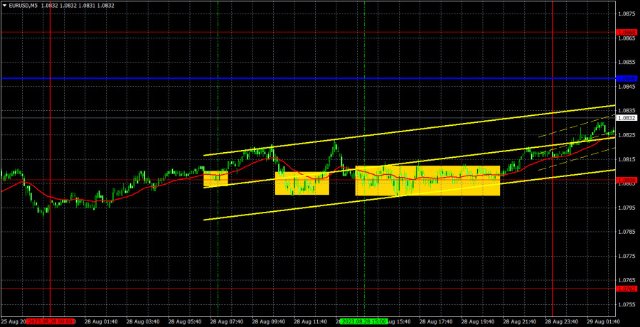 analytics64ed767fbf82a.jpg