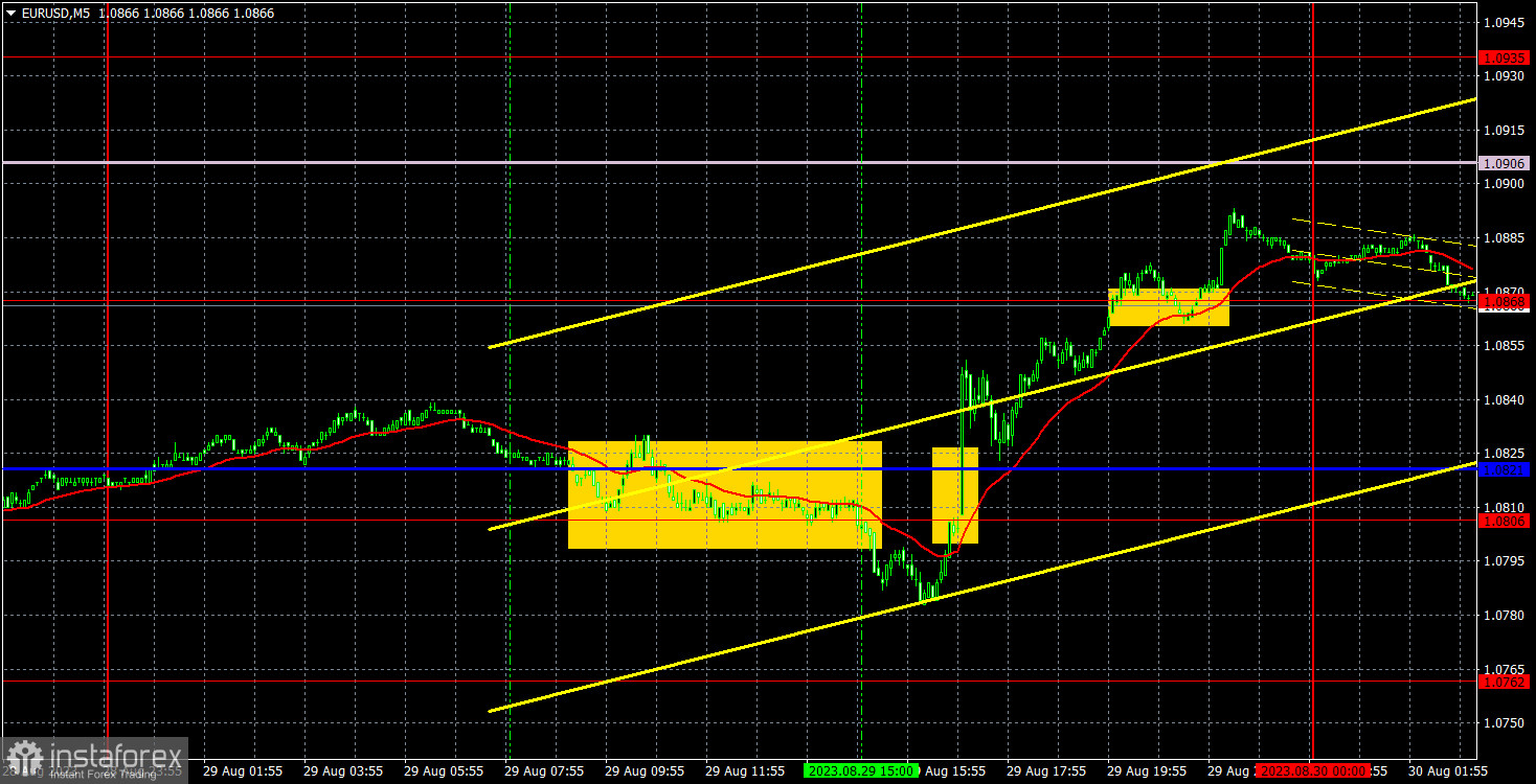 analytics64eecaac15573.jpg