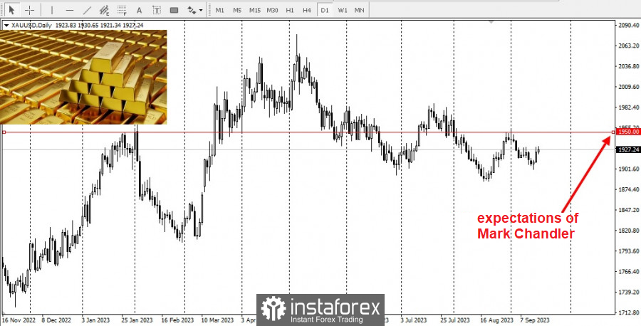 Sondaggio sull'oro: cosa prevedono gli esperti di Wall Street? 