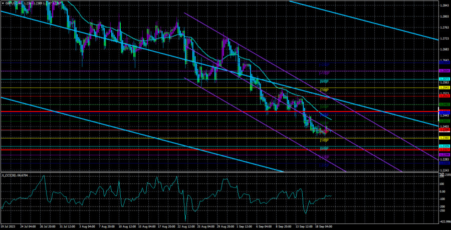 analytics650a8caf2ebb0.jpg