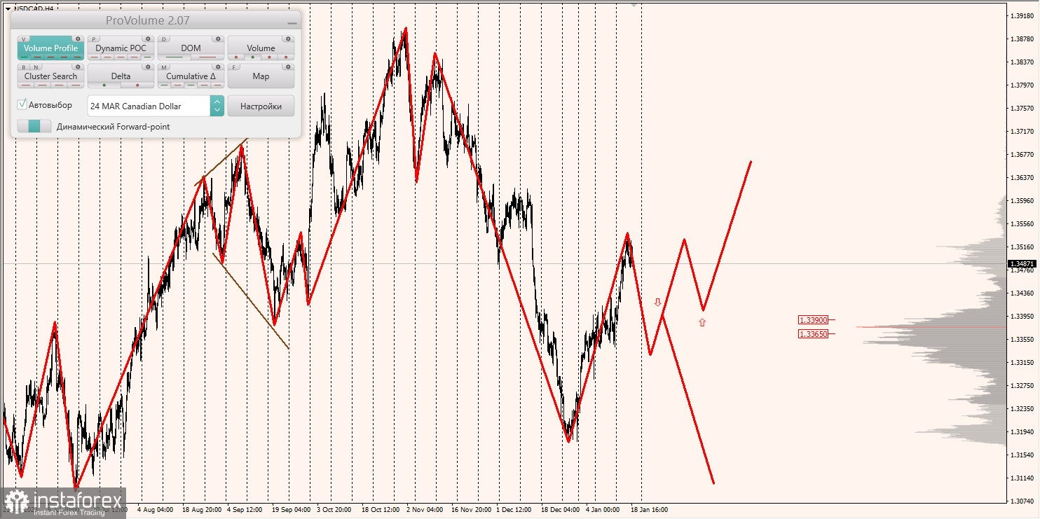 Маржинальные зоны и торговые идеи по AUD/USD, NZD/USD, USD/CAD (19.01.2024)