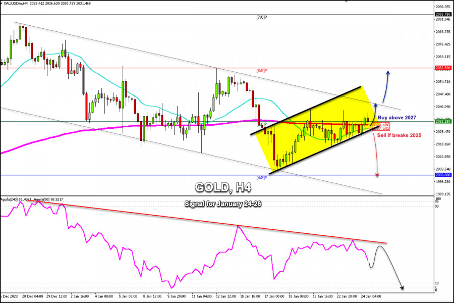 Forex Analysis & Reviews: 24.01.2024 - Trading Signals For GOLD...