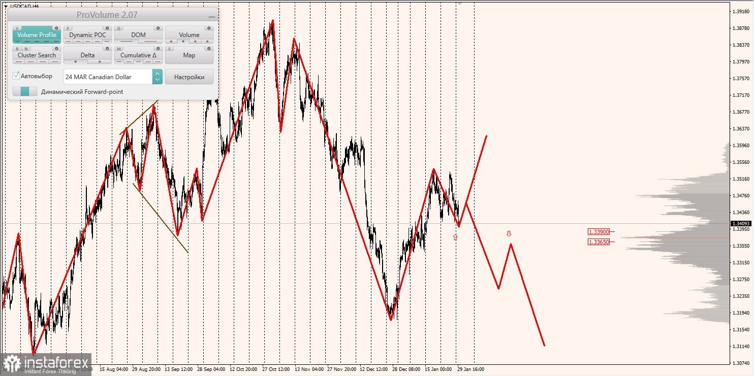 Маржинальные зоны и торговые идеи по AUD/USD, NZD/USD, USD/CAD (30.01.2024)