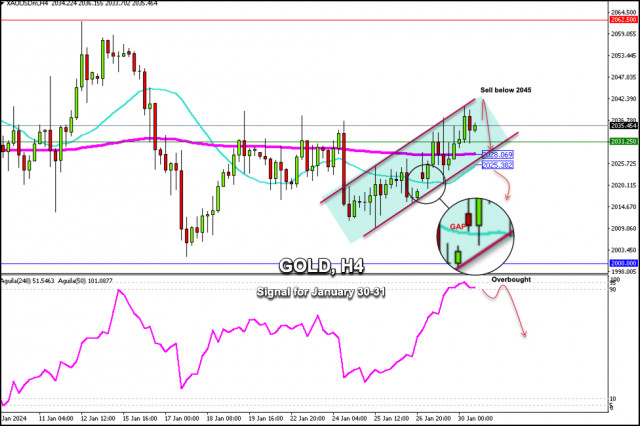 Trading Signals for GOLD (XAU/USD) on January 30-31, 2024: sell below $2,045 (overbought level - GAP)