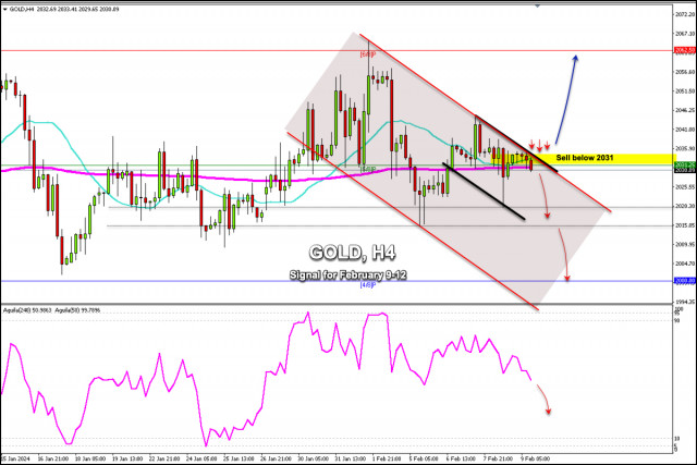 Trading Signals for GOLD (XAU/USD) on February 9-12, 2024: sell below $ 2,031 (200 EMA - 5/8 Murray)