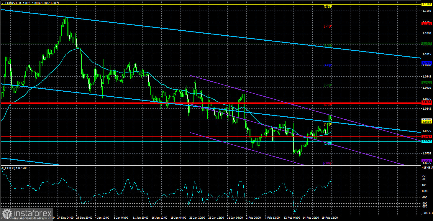 Обзор пары EUR/USD. 21 февраля. Филипп Лейн: конкретных сроков снижения ставки нет.