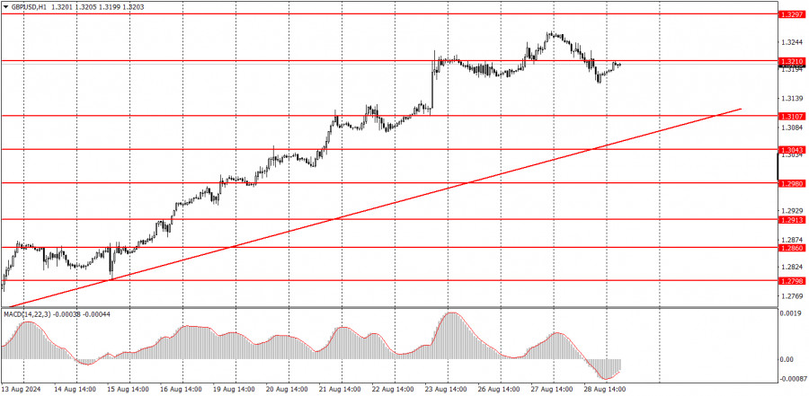 analytics66cff5be9787b.jpg