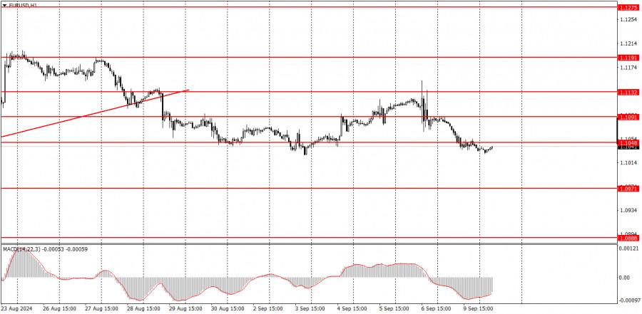 analytics66dfd194dc213.jpg