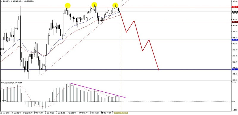 Exchange Rates analysis