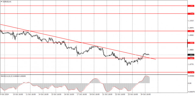 Jak obchodovat pár EUR/USD dne 25. října? Jednoduché tipy a analýza pro začátečníky