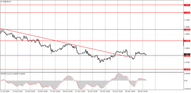 Jak 29. října obchodovat pár EUR/USD? Jednoduché tipy a obchodní analýza pro začátečníky