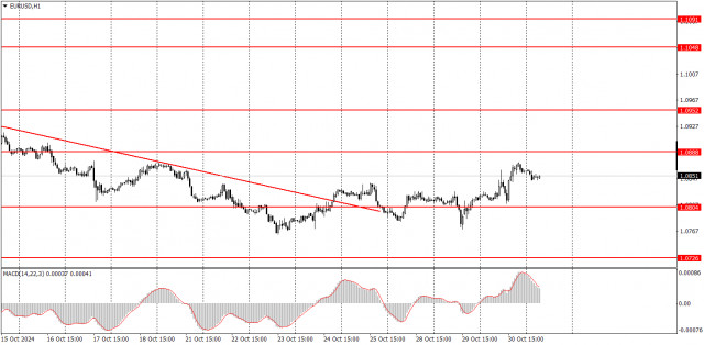  Come fare trading sulla coppia di valute EUR/USD il 31 ottobre? Consigli semplici e analisi delle operazioni per principianti.