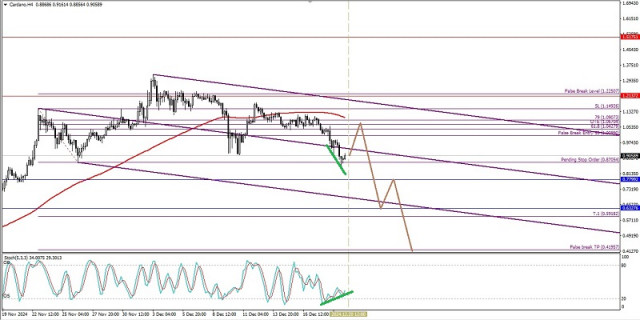 Technical Analysis of Intraday Price Movement of Cardano Cryptocurrency, Friday December 20, 2024.