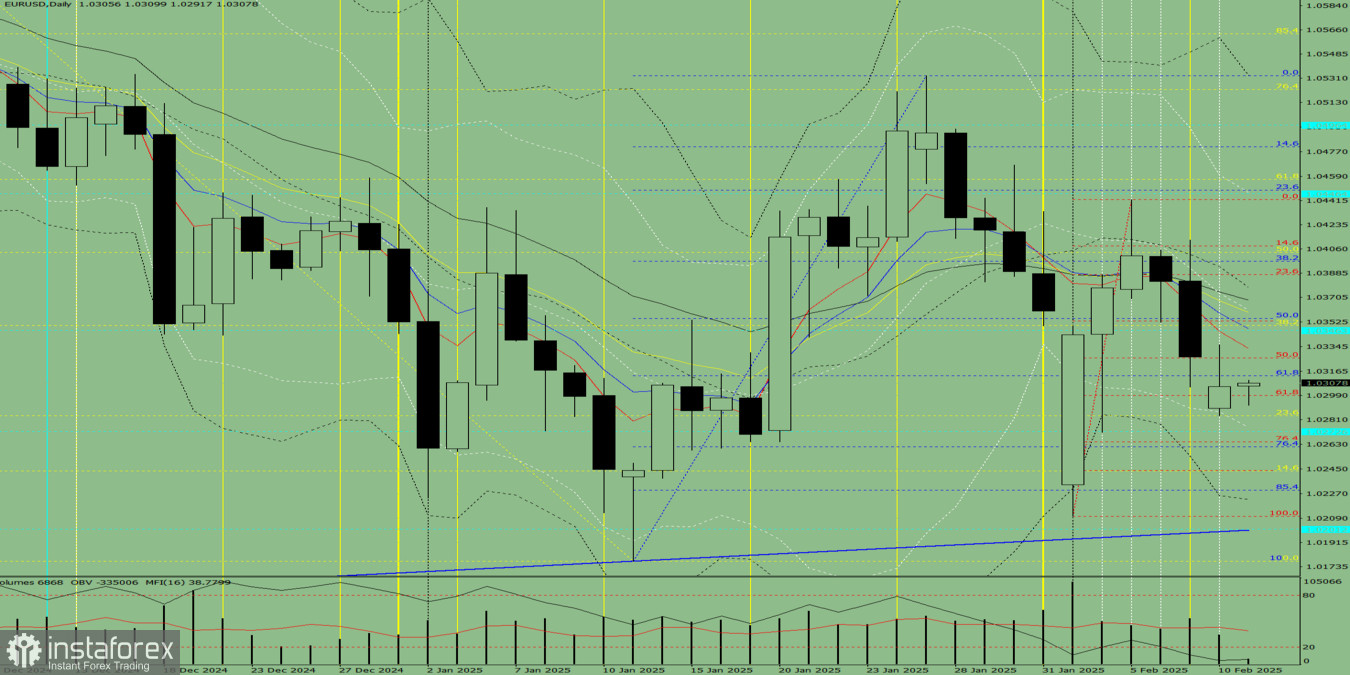 Индикаторный анализ. Дневной обзор на 11 февраля 2025 года по валютной паре EUR/USD