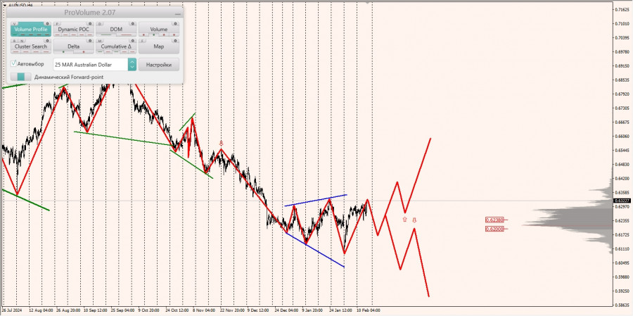 Маржинальные зоны и торговые идеи по AUD/USD, NZD/USD, USD/CAD (14.02.2025)