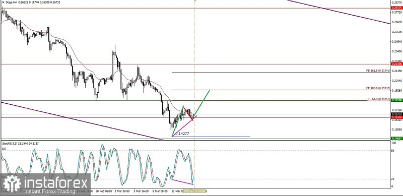 Analisa Teknikal Pergerakan Harga Intraday Mata Uang Kripto Doge, Jumat 14 Maret 2025.