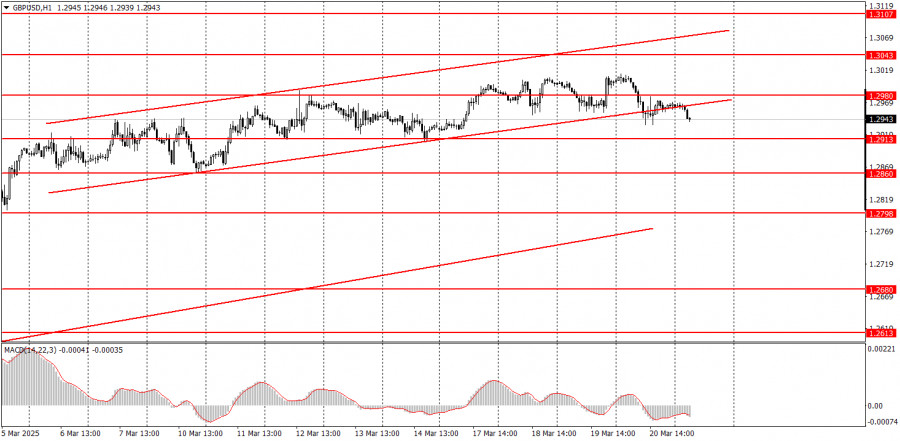 analytics67dcf12dd3ff4.jpg