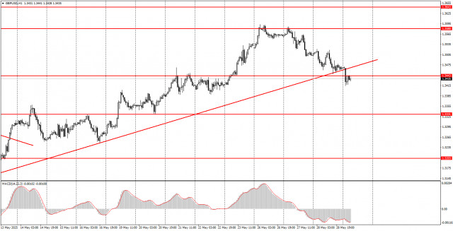 Jak obchodovat měnový pár EUR/USD dne 29. května? Jednoduché tipy a obchodní analýza pro začátečníky