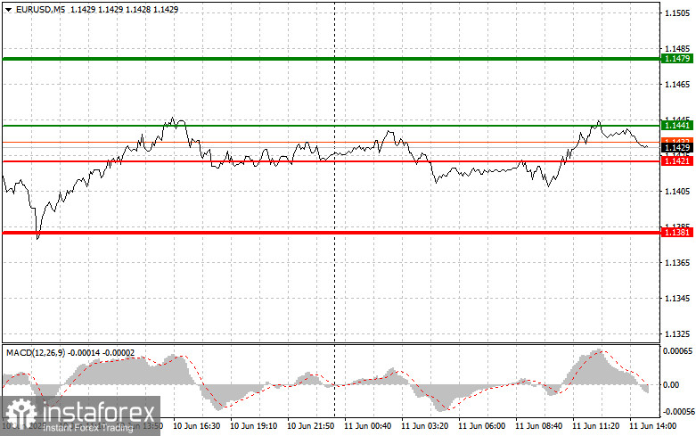EURUSD: простые советы по торговле для начинающих трейдеров на 11 июня (американская сессия)