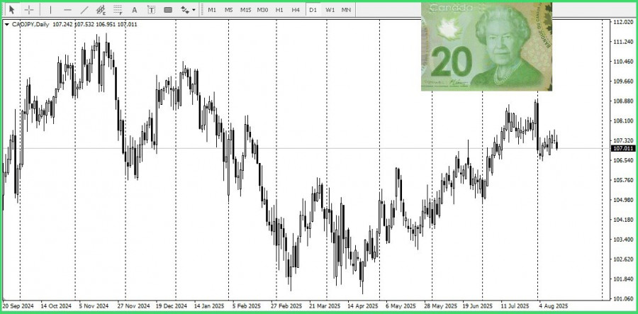analytics689c5ce6897c6.jpg