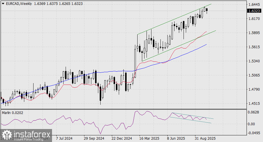 analytics68e480a983ae0.jpg