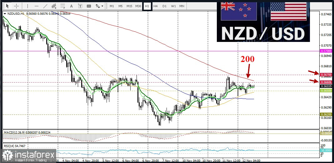 NZD/USD. Анализ цен. Прогноз. Пара NZD/USD выглядит уязвимой