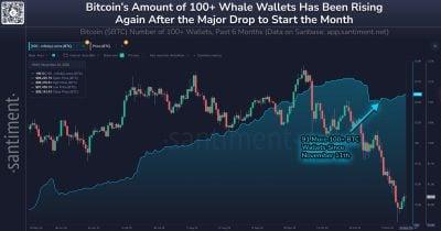 Santiment observes surge in Bitcoin wallets holding 100 BTC