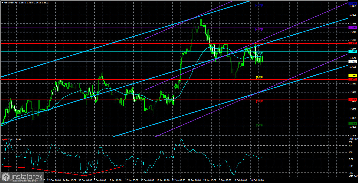 Обзор пары GBP/USD. 13 февраля. Мир восстает против Дональда Трампа.
