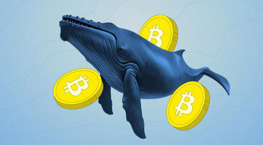 ����������� ������ �� ���������