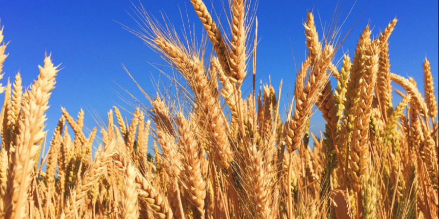 Изображение больше не актуально