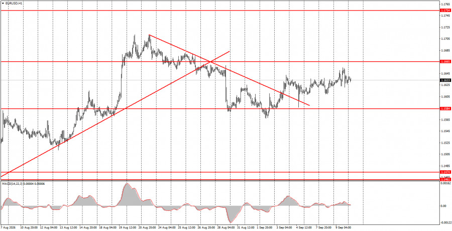 Exchange Rates analysis